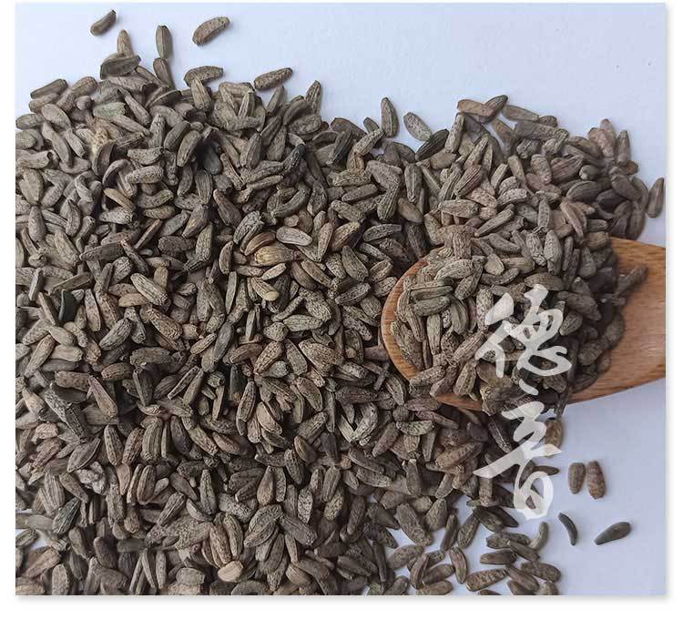 Niubangzi Great Burdock Fruit 500g Dried Arctium lappa Seeds for Traditional Herbal Decoctions key features