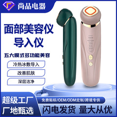 美容器具 Mususu アイスコンプレス導入マッサージ振動器具光線療法マスク器具リフティング引き締め若返り器具赤と青のバッチ