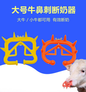 ţ�Ǵ�Сţ������ţ���Ӽ��̽���ţ�Ǵ�Ȧ����