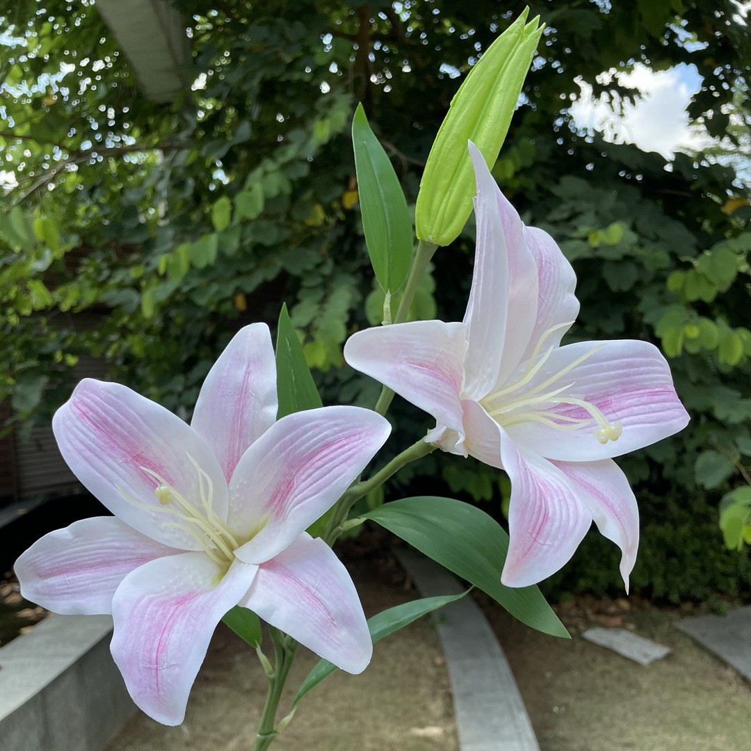 Simulación del Día de San Valentín rosa fabricante 3 sola rama multi-cabeza rosa decoración de la boda flor falsa al por mayor