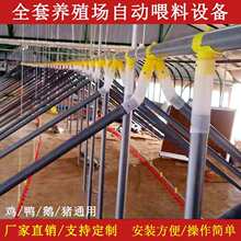 养殖鸡场自动喂料机鸭棚鸡舍用分叉简易料线鹅棚绞龙投料机上料机