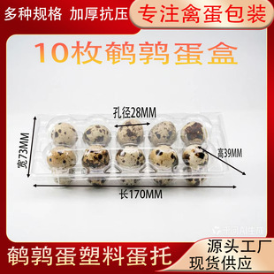 �羳�߿��g����������10öһ���԰�ɫ͸���g�������ݵ����b��