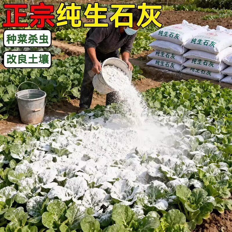 Lime powder for growing vegetables, quicklime, insecticide, disinfectant, desiccant, snake-repellent powder for vegetable fields, soil dehumidifier and moisture-proof agent for farming