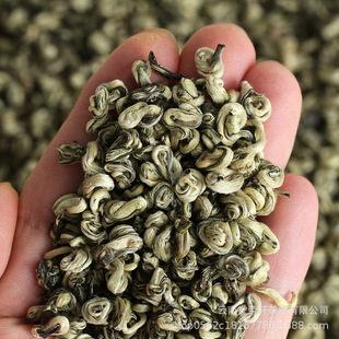 ���l ��ϵ�G�� 2026���ѿ ���ݴ� ��ǰ���� ��ζ���� �S��ֱ��