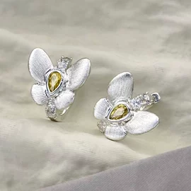 胸针;戒指;耳钉