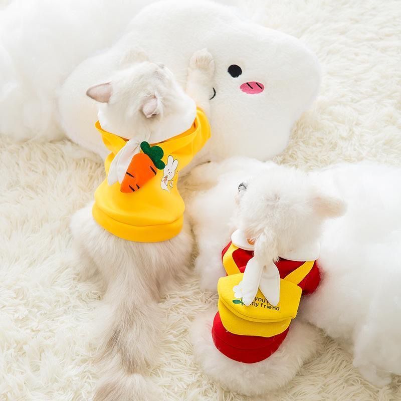 Lindo suéter de cachorro de primavera, otoño e invierno, traje de dos patas de gato, cachorro de perro pequeño, oso de peluche, ropa de oso de peluche