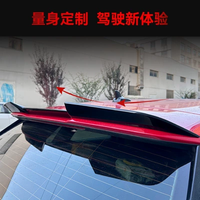 Tail Rear Wing Fixed Wing – Fixed wind wing