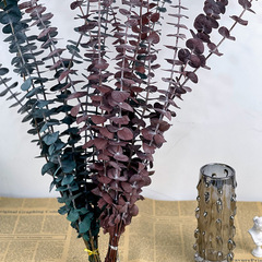 雲南永生銅錢桉樹葉 小葉尤加利葉乾花花束家居裝飾跨境 廠家批發