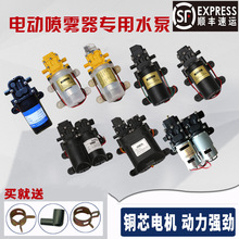 農用電動噴霧器水泵高壓大功率12伏雙核馬達葯筒電機配件