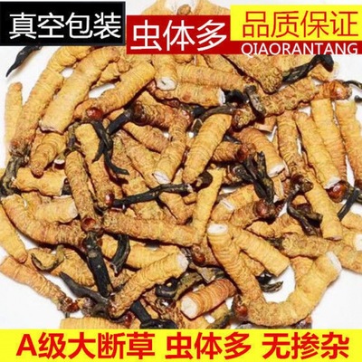 [ Break] Winter worm and summer worm Winter worm Insect Break One piece On behalf of Distribution wholesale