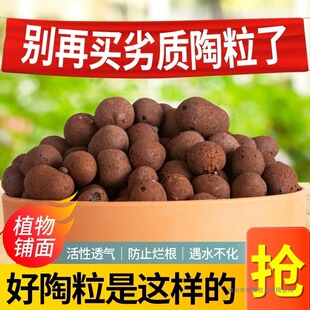 ���|������̼��ؓ�x�ӟo��ֲ��������ֲ������ˮ�໨���b|��
