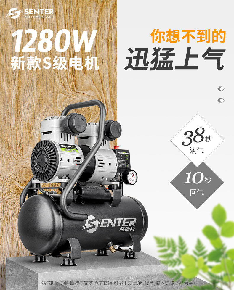 Shengst Oil-Free Air Compressor Bass Portable Air Pump 220V Professional Woodworking Decoration Air Compressor Small