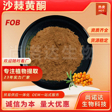 沙棘黄酮10%沙棘提取物厂家包邮直发保健品原料异鼠李素醋柳黄酮