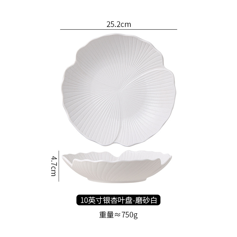 10inch 스핀 디스크 프로스트 화이트