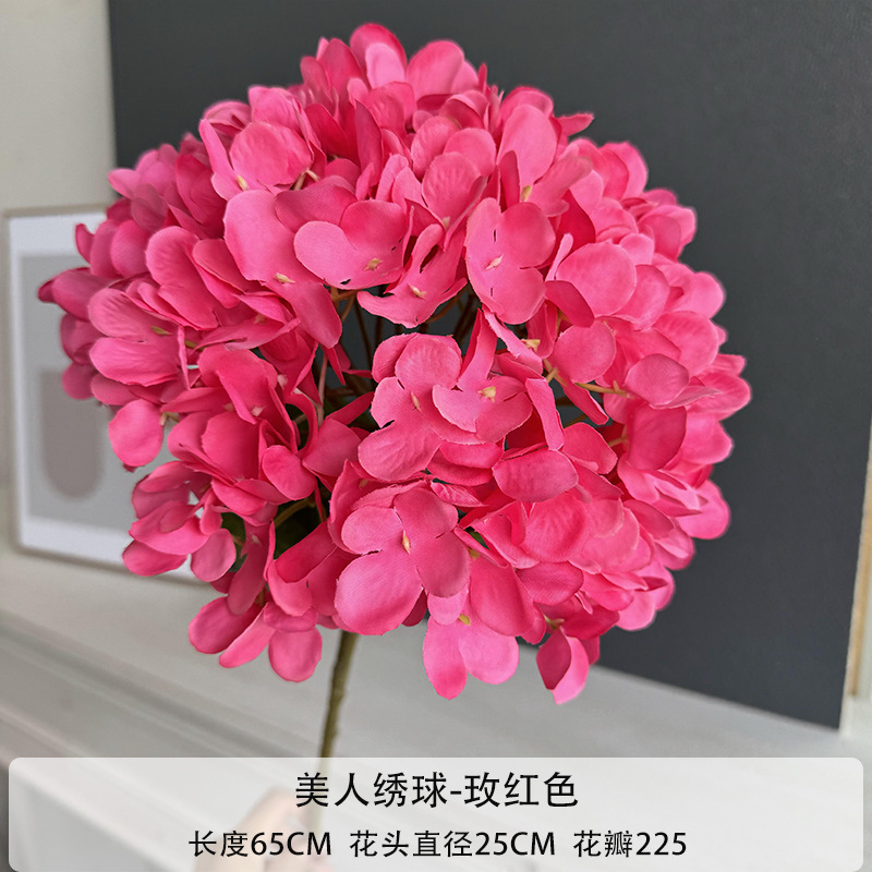 Hortênsia de beleza