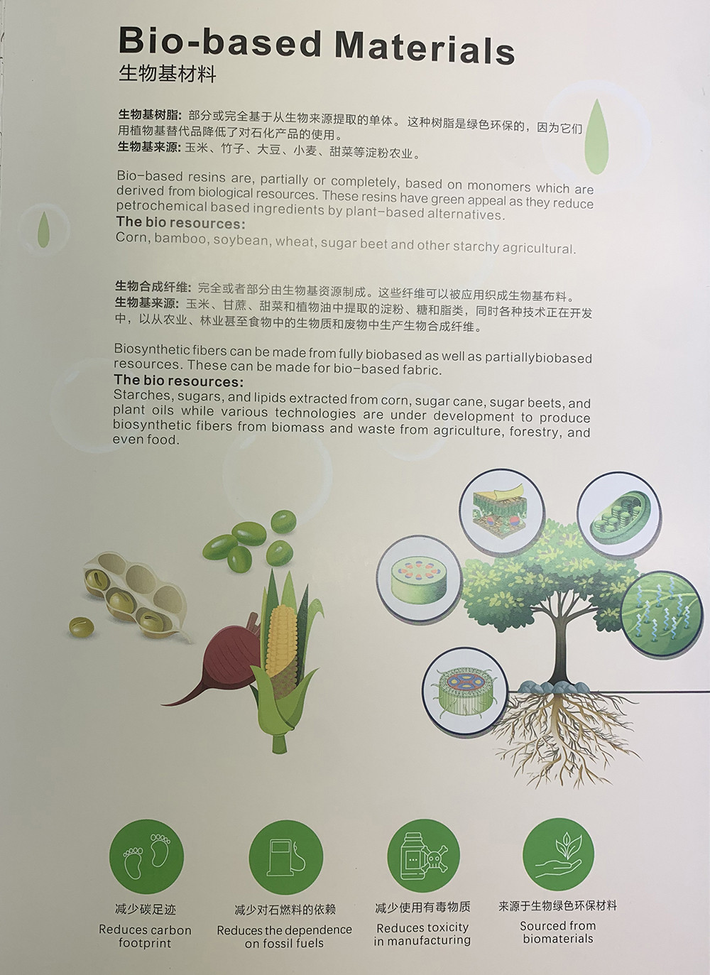 BIO-BASED-04.jpg