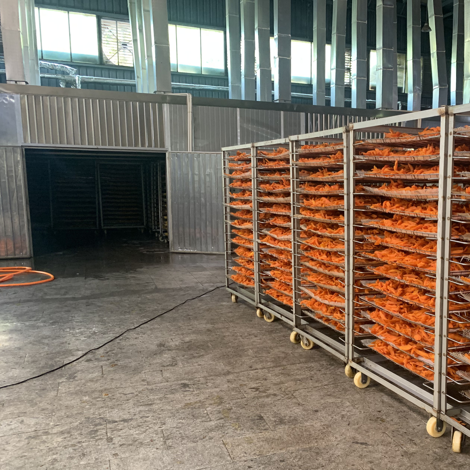 baffc682ce7e41c320eb410ba036a7