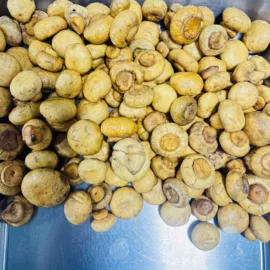 综合蔬果干;其他果干蜜饯;苹果干