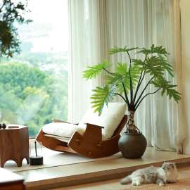 森空间仿真绿植龙鳞天使龟背竹植物装饰大型落地氛围感龙鳞春羽