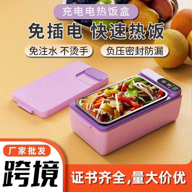 Трансграничная зарядка домашнего офисного работника горячего риса горячего блюда