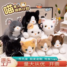 �羳�ɐ۷��沼ż؈����żë�q��߻Ұ�؈���Ѓ�ͯ�������޶Y����