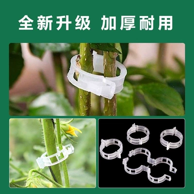 Green plant and fruit tree plant fixing clips, vine fasteners, seedling climbing support rods, fruit and vegetable plant fixing devices (Multimediya və saxlama aksesuarları) - 50-vine-clips-not-enough