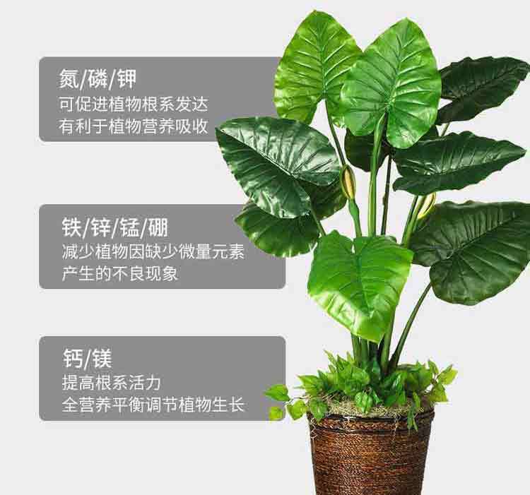 b9a59939-207b-4a1f-91a0-b6b10a212ee8.jpe