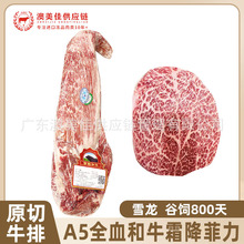 ѩ��A5ȫѪ��ţ����ԭ��ţ��˪��ѩ��ţ��ţ�����ͻ��`�D��ͯţ��
