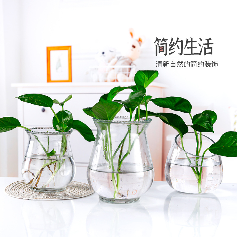 Factory wholesale hydroponic vase desktop decorative ornaments Green rose rich bamboo hydroponic container simple glass small vase