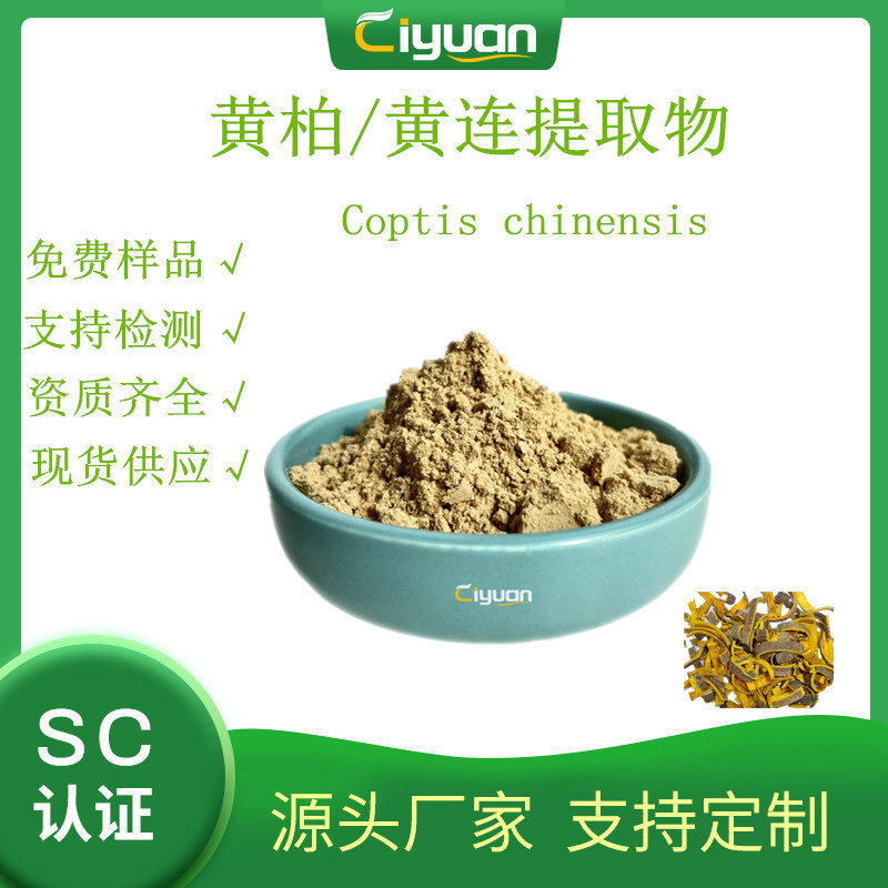 黄柏提取物 Cortex Phellodendri P.E 优质品原料 慈缘现货/kg