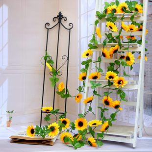 10�^̫ꖻ����滨����տ��ٻ��ٗl�Ҿӵ���b�������ˇ�ٻ����l