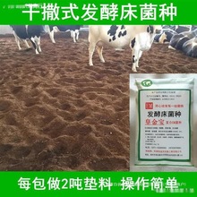 ����ʽ�B�u�l�ʹ����N�̨�u�\�u�����|���ĩ�����u���lТ����