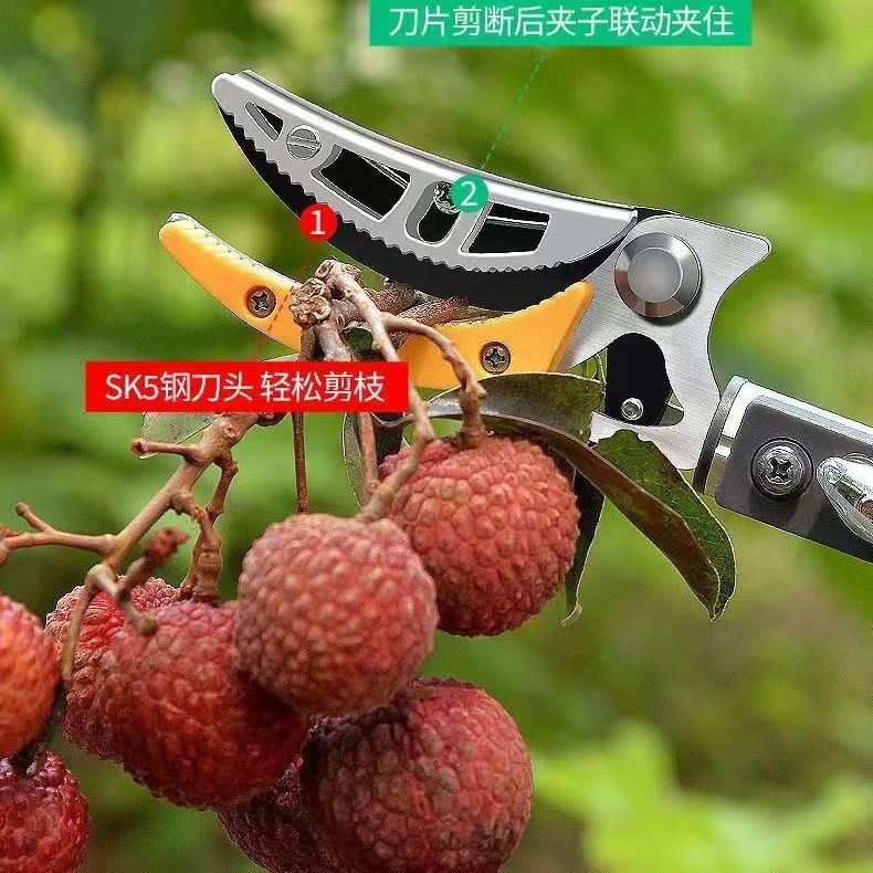 摘果剪定高枝剪定摘果神器高所摘果ハサミ摘み果物レイシ竜眼琵琶伸縮棒摘果|undefined