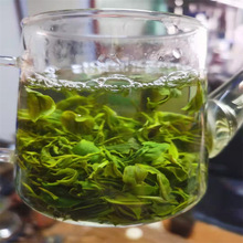 山东 日照绿茶 浓香型 清香散装 袋装绿茶叶 茶叶500g一件代发