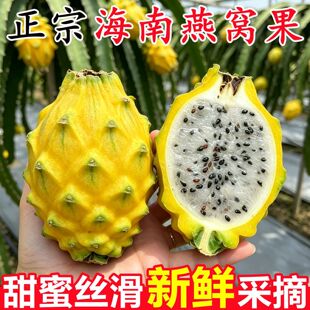 ���ں�����C�����r�����10������Sɫ������������ˮ���������l