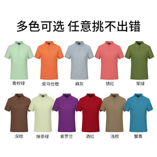 A Variety of Multi-Color Antibacterial Short-Sleeved Polo Shirts, Work Clothes, Embroidered Logos, Group Work Clothes, Lapel Cultural Shirts, Printed Pictures