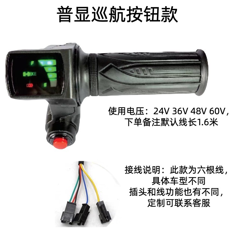 일반 디스플레이 크루즈 모델