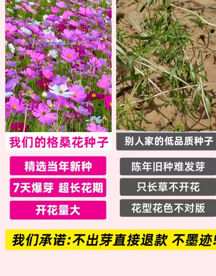 O1CN01APBUsw25nZdkBdT0q_!!2214