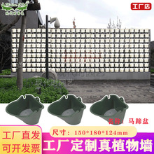 �F���r�@ˇ�ڒ�ֲ��Gֲ���ϻ��蠝�ϷN��ݮ�߲ˏS�ҾG������