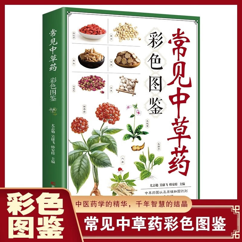 Common Chinese Herbal Medicine Color Illustrated Book 203 Common Chinese Herbal Medicine Identification and Application Easy to Understand