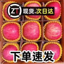 【現貨速發】陝西紅富士蘋果冰糖心蘋果孕婦當季新鮮水果整箱批發