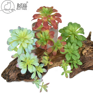 �߷������ֲ��27cm���ٺڷ������z���پGֲ�辰�Ҿ��b�������