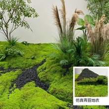 仿真绿植物苔藓草皮禅意枯山水造景观室内样板间阳台地面森系装饰