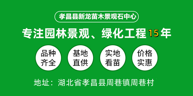 O1CN01imfRbi1ojaM8jndJY_!!9615