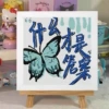 XBK108