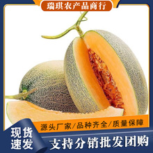 �������ڹ��ܹ�9�����rˮ���W�y�����۹�25̖�ϝh���������10��