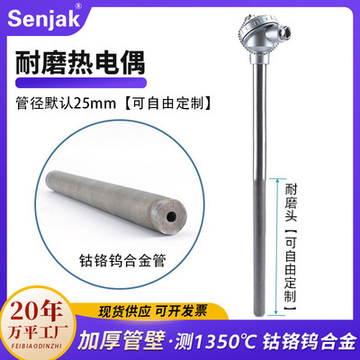 wear-resisting Thermocouple Power Plant Cement 0-1300 ℃ Level 1 WRNM330 Internal mixer Thermocouple CYT101
