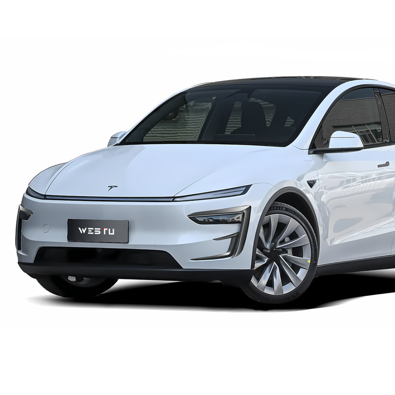 Front Lip Carbon Fiber, Tesla Big Surrounded - 2025-facelift-model-y-front-bumper-canard-matte-black