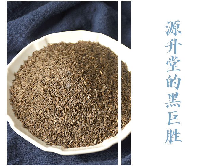 Hei Ju Sheng Seeds (Sesamum indicum) — Black Sesame Food Herb, 500g Bulk specifications