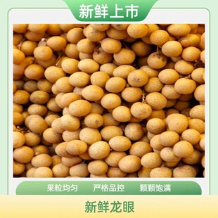 ���rʯ�����۹��A���~����܇����������l��������